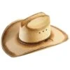 Resistol Men's Jason Aldean Georgia Boy Palm Hat
