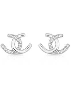 Montana Silversmiths Women's Horseshoe Happiness Post Earrings